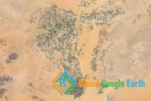 Magnificent Number of Irrigation Circles, Wadi Addawasir, Saudi Arabia