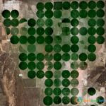 Green Circles, Eureka County Public Works, Nevada, USA