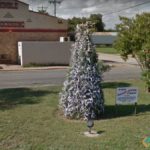 Deer Horn Tree, Junction, Texas, USA
