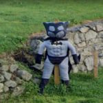 Scare-Batman or Batman-Crow?, County Wicklow, Ireland