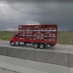 Truck Full of Pigs, Queretaro, Mexico