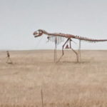 Skeleton Life, Midland, South Dakota, USA