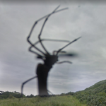 Giant Spider, Tainan, Taiwan