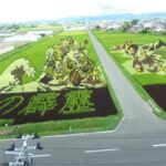 Rice Paddy Art, Aomori, Japan