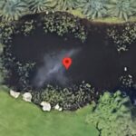 Pond Whale?!, Southwest Ranches, Florida, USA