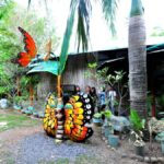 Davao Butterfly Garden, Davao City, Philippines
